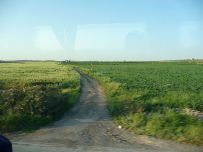P1030090.JPG